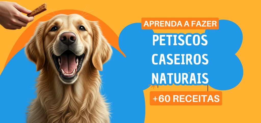 Design-sem-nome-1024x483 Casinha Inteligente Protege o Cão dos Barulhos de Fogos de Artifício e Evitar que os Pets se Assustem