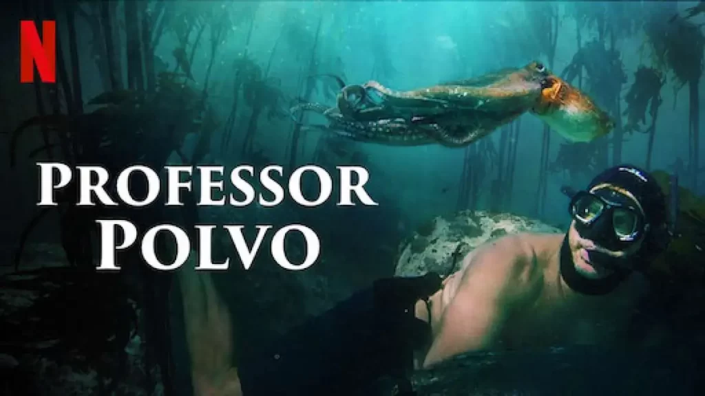 professorpolvoposter-1024x576 Relembre 10 Filmes Vencedores do Oscar com Bichos como Protagonistas