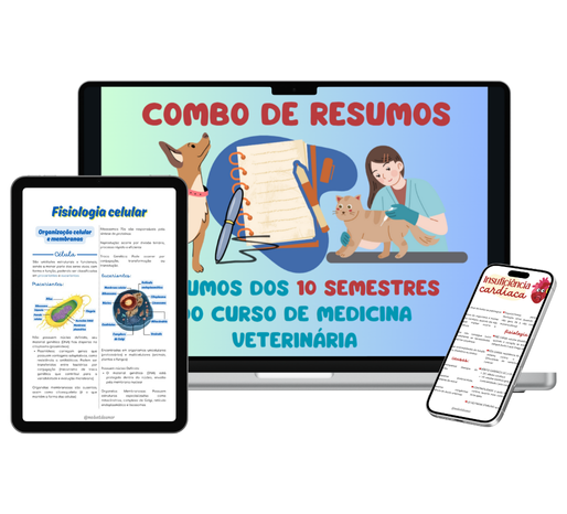 COMBO-DE-RESUMOS Apostilas e Resumos